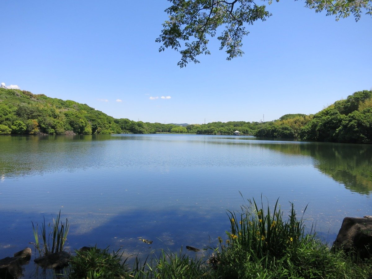 🌳 야마다이케 공원(야마다이케코엔) 이미지 1